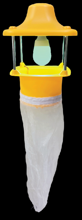 商品・サービスの画像