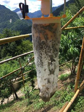 商品・サービスの画像